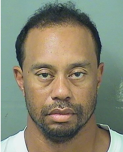 1270529164405-01-tiger-woods-mugshot-super-169.jpg