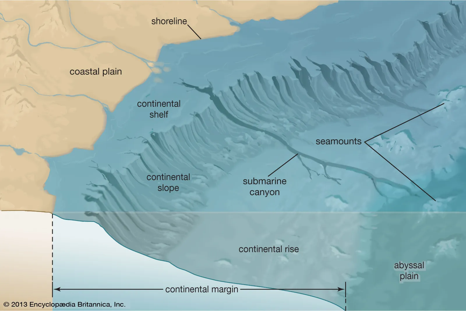 pitch-continental-shelf-slope-way-transition-region.png